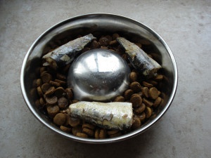 canned sardines added to dry dog food for extra nutrition and supplement