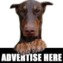 Advertise on Dobermansden.com