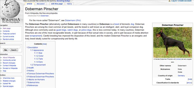 doberman-wikipedia