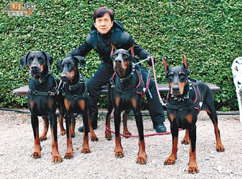 Jackie Chan with group of dobermans chase him in maze