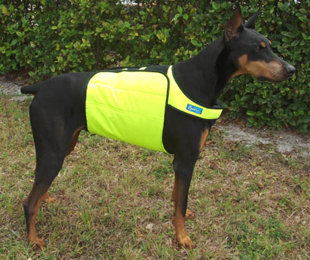 doberman cooling vest