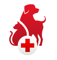 first aid for dog app