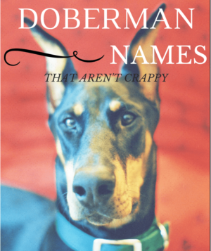 DOBERMAN names that are original unique