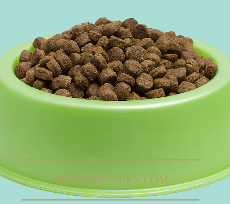 tip on dog food bowls to use