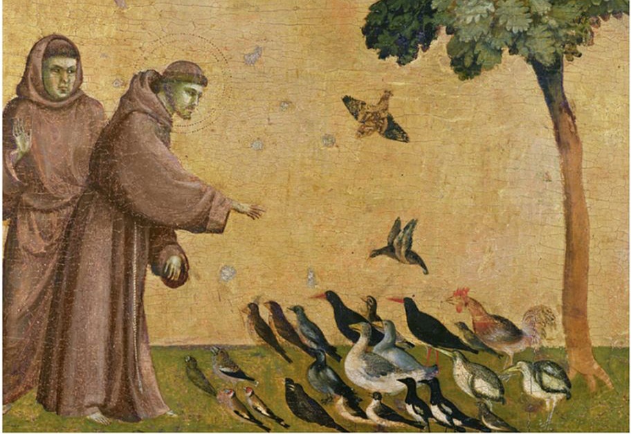 st francis painting with birds