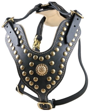 doberman gift leather dog harness with brass studs